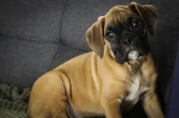 processed/a8691734-ec5d-4cae-919c-f7c884b6b56d/listing/c705a2a5-b4b0-41e9-b4b8-e48b8f681cdd/d8bf7a37-574e-4e4d-a090-055961eecddb