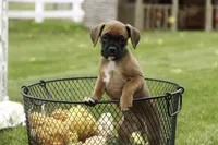 processed/a8691734-ec5d-4cae-919c-f7c884b6b56d/listing/f9e730c0-5498-492c-8072-a21c99e925da/0043bb5f-9eae-4164-a93f-5cf7a8cc81ff