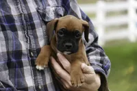 processed/a8691734-ec5d-4cae-919c-f7c884b6b56d/listing/f9e730c0-5498-492c-8072-a21c99e925da/a26031a8-5d5a-4040-aecd-4991b47a9509