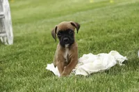 processed/a8691734-ec5d-4cae-919c-f7c884b6b56d/listing/f9e730c0-5498-492c-8072-a21c99e925da/a5bc9c7f-9b24-4893-bee8-4e5ee1f1962c