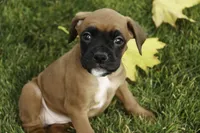 processed/a8691734-ec5d-4cae-919c-f7c884b6b56d/listing/f9e730c0-5498-492c-8072-a21c99e925da/b7b7af48-4240-497f-a43f-53e6d33b0462