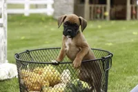 processed/a8691734-ec5d-4cae-919c-f7c884b6b56d/listing/f9e730c0-5498-492c-8072-a21c99e925da/cb1fcc77-aa27-4281-a272-9b69f67afd87