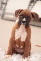 processed/a8691734-ec5d-4cae-919c-f7c884b6b56d/listing/fa68ffe9-aa8b-4a5f-acda-195f82fc1e79/97bf61f8-788d-44da-9b62-0e3f956399d4