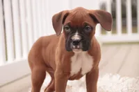 processed/a8691734-ec5d-4cae-919c-f7c884b6b56d/listing/fa68ffe9-aa8b-4a5f-acda-195f82fc1e79/ddc33b5b-3cbe-4e32-8df2-9393b77461e8