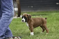 processed/a8691734-ec5d-4cae-919c-f7c884b6b56d/listing/fbf3399d-a3f2-4171-a339-f7563ea1d184/678cc46a-7a4a-45cd-8365-64013d16e0a4