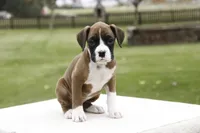 processed/a8691734-ec5d-4cae-919c-f7c884b6b56d/listing/fbf3399d-a3f2-4171-a339-f7563ea1d184/d29b7927-d871-47d7-b167-4503bfc585e5