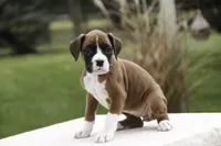 processed/a8691734-ec5d-4cae-919c-f7c884b6b56d/listing/fbf3399d-a3f2-4171-a339-f7563ea1d184/d9459b62-71f3-4fe1-af4f-9b6ca27b3c0a