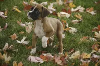 processed/a8691734-ec5d-4cae-919c-f7c884b6b56d/listing/fdde827d-8637-437f-b202-51297cf4b162/3168b501-1dbf-4bc7-bcf1-c4fccf5d5ef7