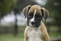 processed/a8691734-ec5d-4cae-919c-f7c884b6b56d/listing/fdde827d-8637-437f-b202-51297cf4b162/5bffc3cd-4dc1-4581-b4a5-e2f29642c37e