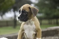 processed/a8691734-ec5d-4cae-919c-f7c884b6b56d/listing/fdde827d-8637-437f-b202-51297cf4b162/6ce6ecef-3a96-4799-b454-32376f7729d0