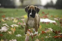 processed/a8691734-ec5d-4cae-919c-f7c884b6b56d/listing/fdde827d-8637-437f-b202-51297cf4b162/c42dbb29-a215-45c2-9d87-edd7766412ed