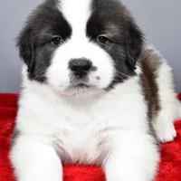 processed/a86b51b5-ba5d-4bc2-a1e5-c20068632a49/facility/05436fbe-5849-40c4-bce0-40f56f9e344a