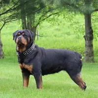 processed/a86b51b5-ba5d-4bc2-a1e5-c20068632a49/facility/16bb7815-5321-460b-b5ff-4a80fe959099