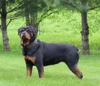 processed/a86b51b5-ba5d-4bc2-a1e5-c20068632a49/facility/16bb7815-5321-460b-b5ff-4a80fe959099