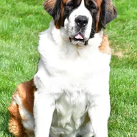 processed/a86b51b5-ba5d-4bc2-a1e5-c20068632a49/facility/36582cba-d667-40c8-b934-8eb6b6ab2f81