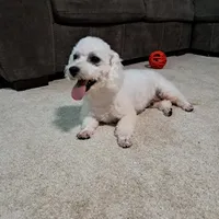 processed/a86b51b5-ba5d-4bc2-a1e5-c20068632a49/facility/7e884dff-d7f0-4081-aa9e-ed591ccc5d04