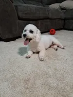 processed/a86b51b5-ba5d-4bc2-a1e5-c20068632a49/facility/7e884dff-d7f0-4081-aa9e-ed591ccc5d04