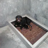 processed/a86b51b5-ba5d-4bc2-a1e5-c20068632a49/facility/8fc4dfaa-3146-4789-9927-b77280263394