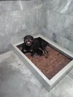 processed/a86b51b5-ba5d-4bc2-a1e5-c20068632a49/facility/8fc4dfaa-3146-4789-9927-b77280263394