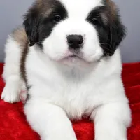 processed/a86b51b5-ba5d-4bc2-a1e5-c20068632a49/facility/ef65e475-43ac-4f3d-840d-37195fd88f14