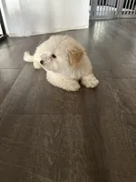 processed/a86b51b5-ba5d-4bc2-a1e5-c20068632a49/listing/1467be2e-c1e3-4a2f-a9de-f2250c276152/8d2d2673-0d71-4e56-864e-7a6bfb037352