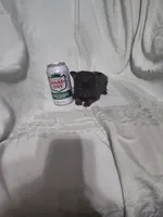 Hope, a female Chihuahua for sale in Watertown, TN – Photo 3 of 4