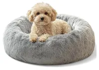 Meep, a male Miniature Schnauzer for sale in San Antonio, TX – Photo 10 of 10