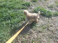 processed/a8853dae-566a-4b07-8b8b-326997d4a823/listing/c74b9755-8fcc-4443-a8ae-95be128053fe/225e7d9c-2e86-4038-9d92-7dba183e4b66