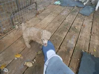 processed/a8853dae-566a-4b07-8b8b-326997d4a823/listing/c74b9755-8fcc-4443-a8ae-95be128053fe/4d62aa58-064b-470d-9722-020019b31ef2