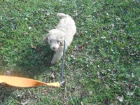 processed/a8853dae-566a-4b07-8b8b-326997d4a823/listing/c74b9755-8fcc-4443-a8ae-95be128053fe/8853d2c7-99d3-459c-a842-a5f5455ea6c8