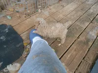 processed/a8853dae-566a-4b07-8b8b-326997d4a823/listing/c74b9755-8fcc-4443-a8ae-95be128053fe/ba6acdd6-6640-4593-8f8a-df1a3eec5442