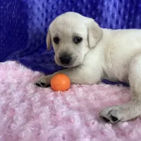 processed/a898fe09-31f1-4ae7-949b-7bd4744da075/facility/8c6e24b4-c3fe-4f35-8681-824c26bc149c