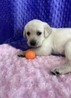 processed/a898fe09-31f1-4ae7-949b-7bd4744da075/facility/8c6e24b4-c3fe-4f35-8681-824c26bc149c