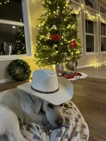 AKC Pink Girl, a female Labrador Retriever for sale in Calhan, CO – Photo 7 of 7