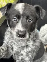 processed/a8ace430-c5c3-4485-b45d-7322413f427b/listing/2715da13-f80b-4e49-afa1-154d179e2bd2/3bd11d2e-b885-4d21-8c50-f547f5166f94