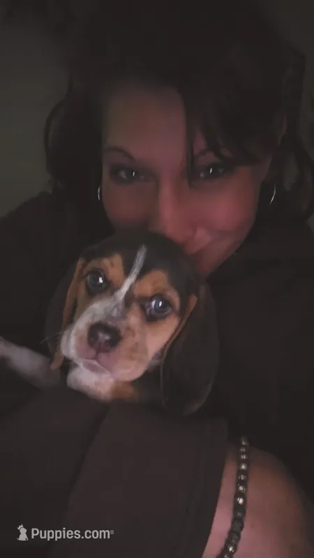 A absolutely beautiful Greenie