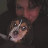 A absolutely beautiful Greenie, a female Beagle for sale in Cocoa, FL – Photo 1 of 10