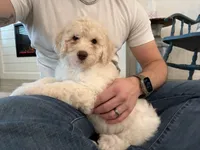 processed/a8bc632a-21a1-470a-8dcf-02cf149e6fa3/listing/8a6e2bc4-fff8-4989-996e-403c58651234/4d11c45d-50c1-4df6-890b-6c689b9eb3cf