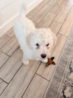 processed/a8bc632a-21a1-470a-8dcf-02cf149e6fa3/listing/8a6e2bc4-fff8-4989-996e-403c58651234/8c52ebd4-82a4-437c-9940-9767cd61d9cf