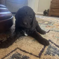 processed/a8c44ac5-982e-44a3-beb8-d5686d24cb43/facility/1254d67e-97b7-4d93-abc1-09ddcad3bdf3