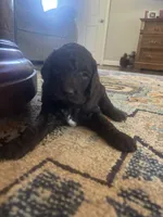 processed/a8c44ac5-982e-44a3-beb8-d5686d24cb43/facility/1254d67e-97b7-4d93-abc1-09ddcad3bdf3