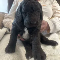 processed/a8c44ac5-982e-44a3-beb8-d5686d24cb43/facility/2e6812c3-543d-4911-89ad-4c90992e6f58