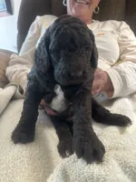 processed/a8c44ac5-982e-44a3-beb8-d5686d24cb43/facility/2e6812c3-543d-4911-89ad-4c90992e6f58