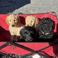 processed/a8c44ac5-982e-44a3-beb8-d5686d24cb43/facility/53c8e5a4-d436-40e7-9c85-784127f38a67