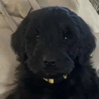 processed/a8c44ac5-982e-44a3-beb8-d5686d24cb43/facility/5581f981-df33-4f3e-83a0-c5e65c304488