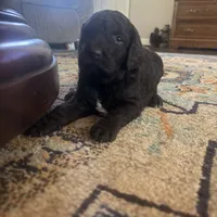 processed/a8c44ac5-982e-44a3-beb8-d5686d24cb43/facility/6dce6b21-c4f0-413f-89d0-38ffb9759d61