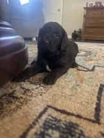 processed/a8c44ac5-982e-44a3-beb8-d5686d24cb43/facility/6dce6b21-c4f0-413f-89d0-38ffb9759d61