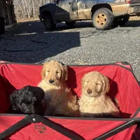 processed/a8c44ac5-982e-44a3-beb8-d5686d24cb43/facility/760cd67b-10f2-45fe-8d0e-a6821dfc4fca