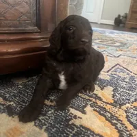 processed/a8c44ac5-982e-44a3-beb8-d5686d24cb43/facility/87d57847-51b0-4196-a97c-c1e75e86fa46