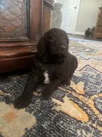 processed/a8c44ac5-982e-44a3-beb8-d5686d24cb43/facility/87d57847-51b0-4196-a97c-c1e75e86fa46